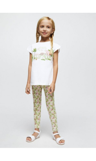 CONJUNTO CASAS JARDÍN