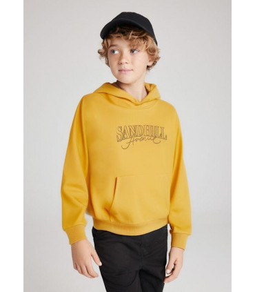 SUDADERA CAPUCHA BORDADOS