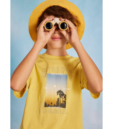 CONJUNTO BERMUDA Y CAMISETA PALMERAS