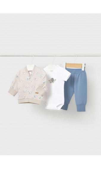 CHÁNDAL ELEFANTES CON BODY